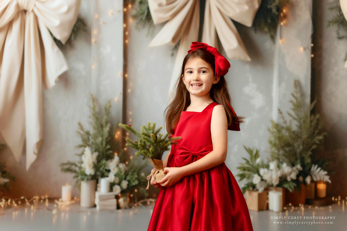 Champagne Holiday Bows Mini Sessions | Champagne-Holiday-Arches06.jpg