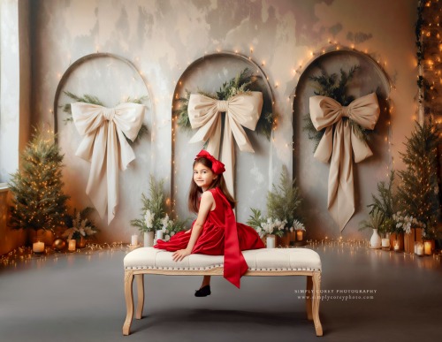 Champagne Holiday Bows Mini Sessions