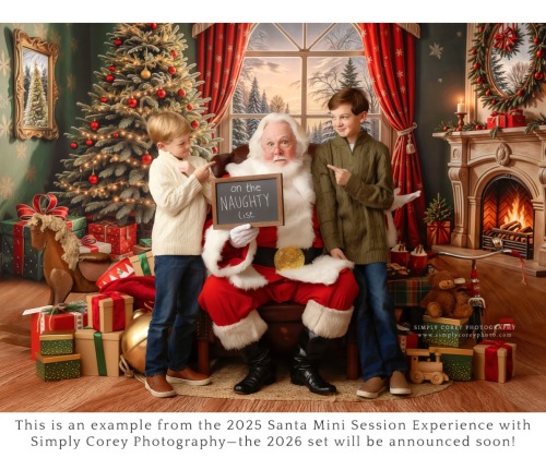 Santa Claus Mini Session Experience