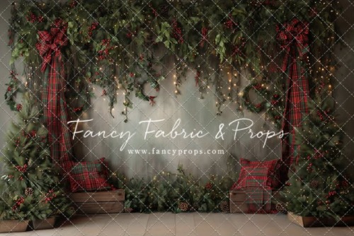 Tartan Christmas Mini Sessions