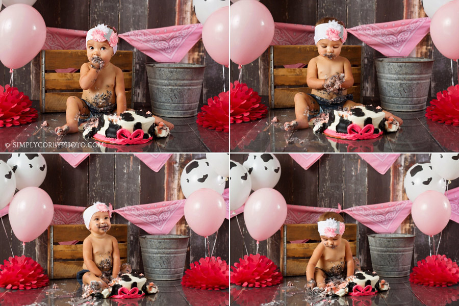 pink and cow themed cake smash by Carrollton baby photographer