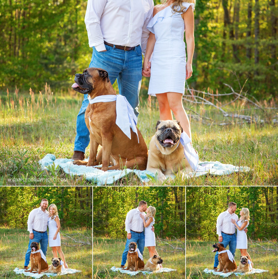 family photographer Carrollton, couple with mastiff dogs outside
