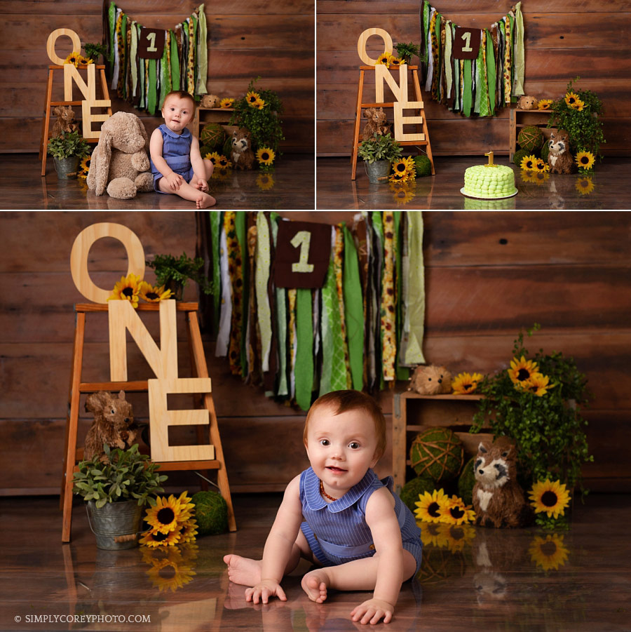 Carrollton baby photographer, one year session with woodland animals