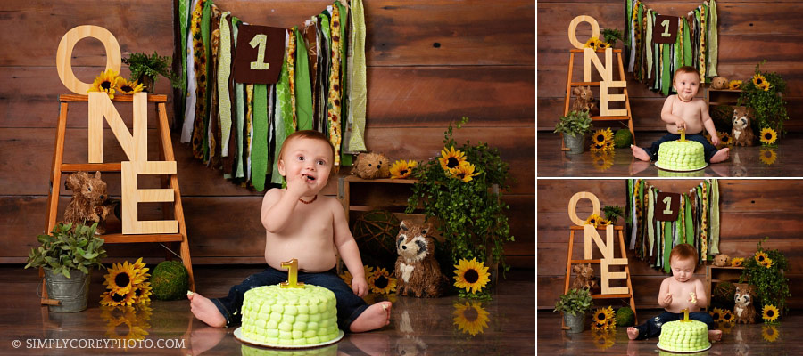 Douglasville cake smash photographer, one year old boy with woodland animals