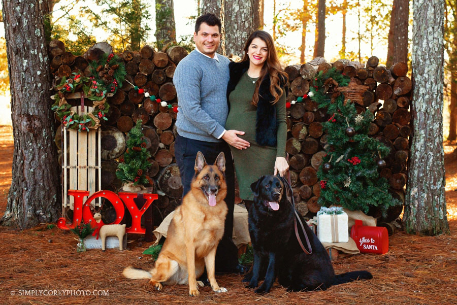 Bremen Christmas mini session with expecting couple and two big dogs