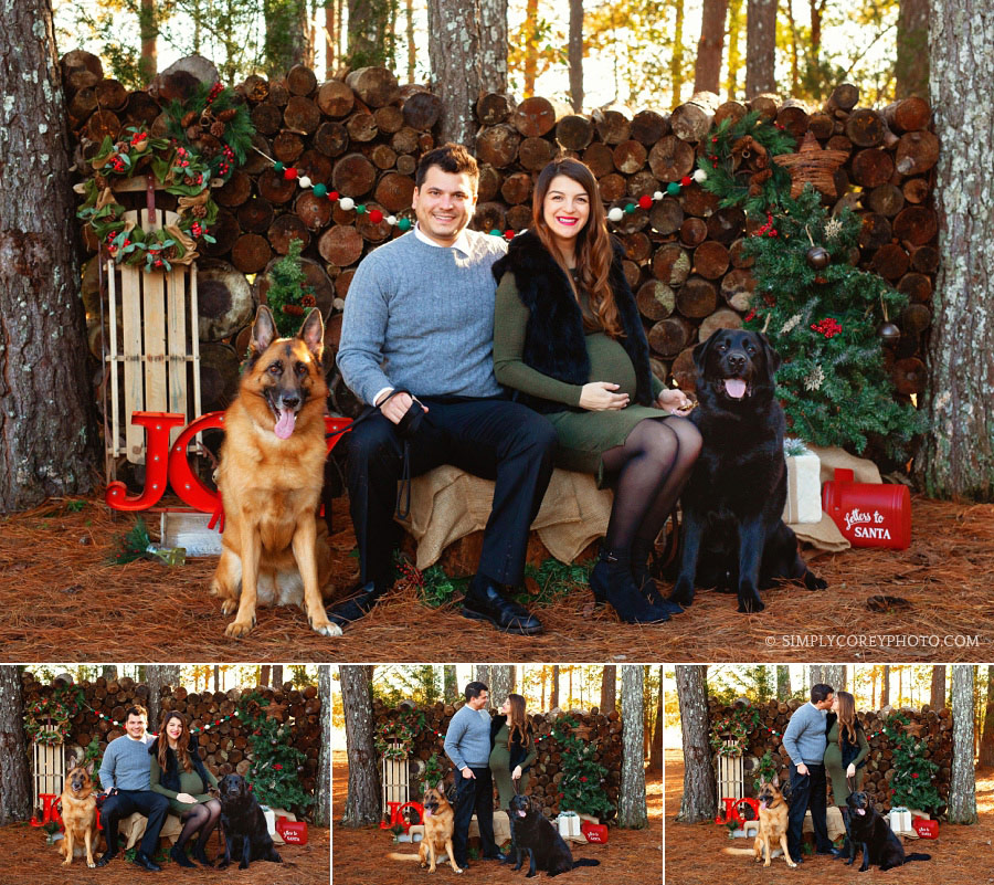 Carrollton Christmas mini session with a pregnant couple and two dogs