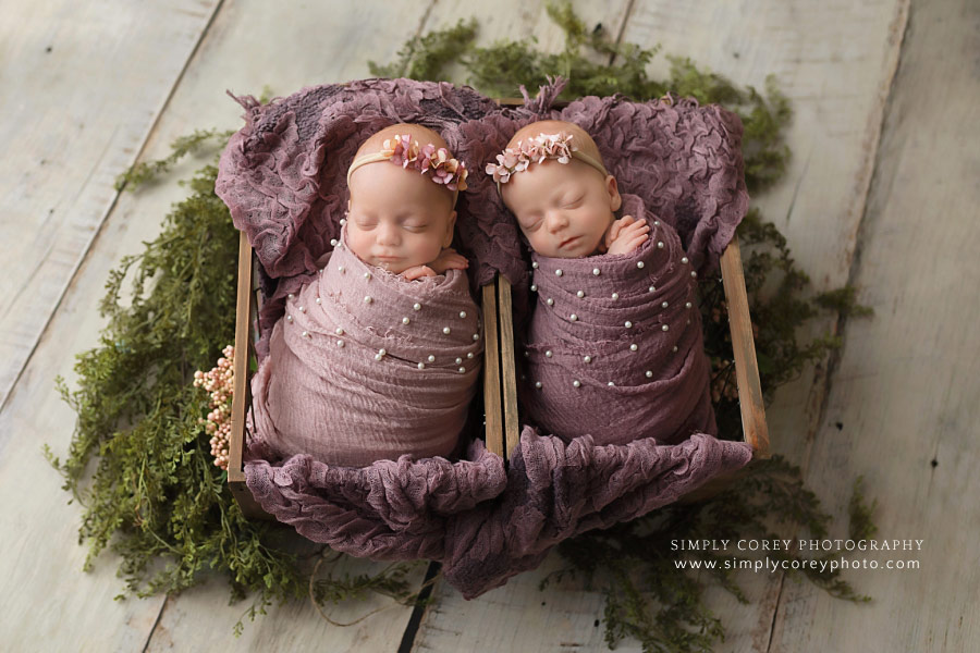 Atlanta newborn photographer, twin baby girls in purple
