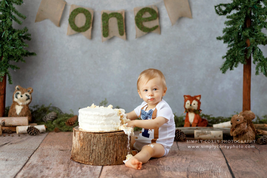 cake smash photographer in West Georgia, woodland theme for baby boy
