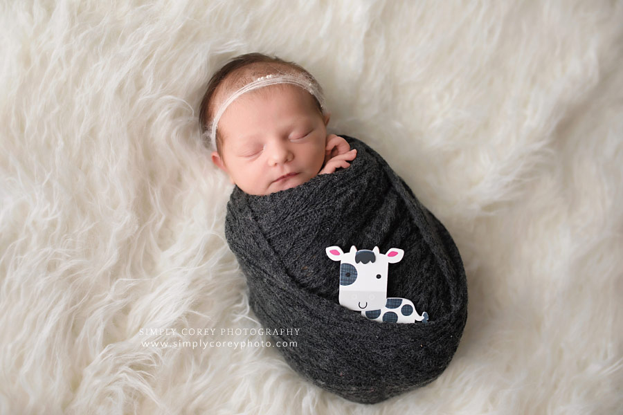 newborn photographer near Dallas, GA; baby girl with black and white cow