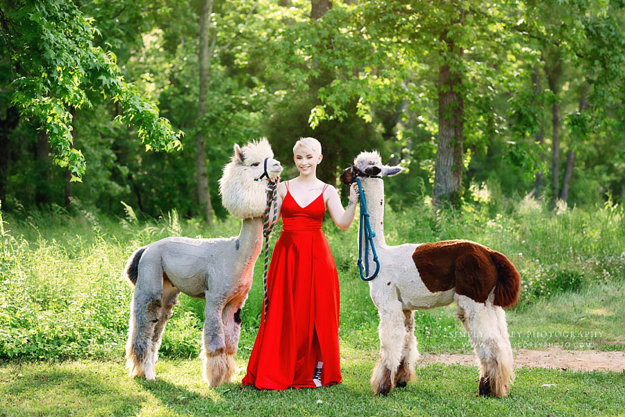 Newnan senior portrait photographer, teen in red formal dress outside with two alpacas