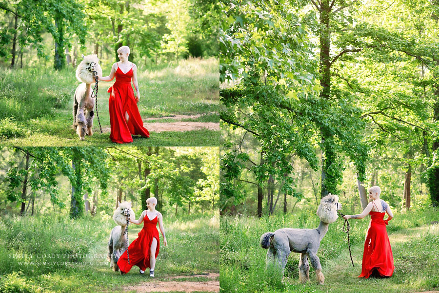 Newnan senior portraits, teen in red formal dress outside with alpaca