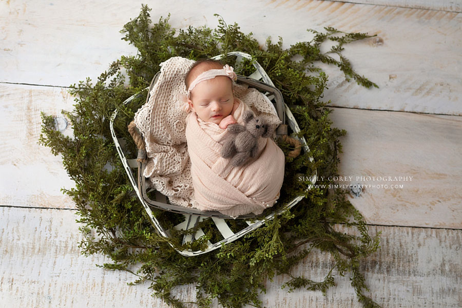 newborn photographer near Newnan, baby girl with teddy bear in baskets with greenery