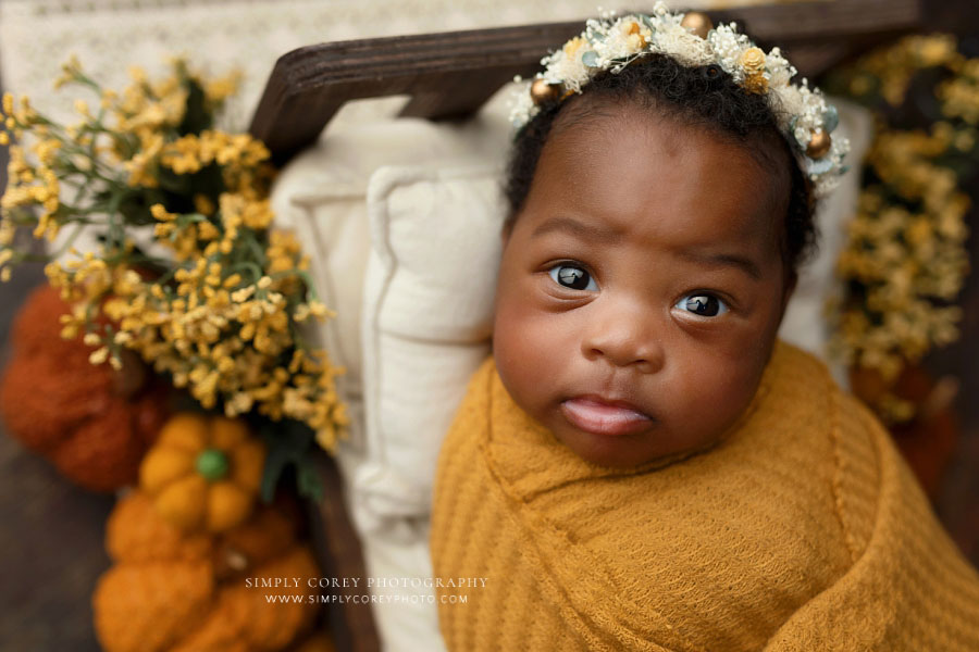 Carrollton newborn photographer in GA; baby girl in mustard wrap with fall flowers and pumpkins