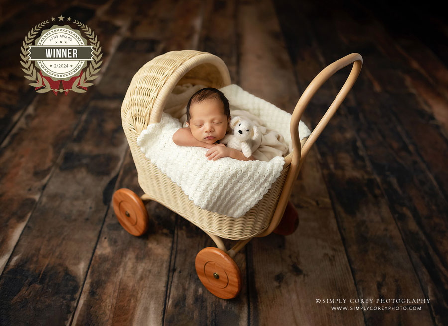award winning Atlanta newborn photographer, portrait of baby in carriage