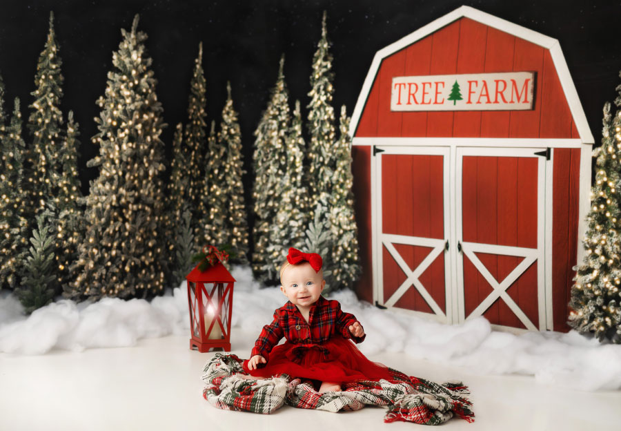 baby photographer near Atlanta, tree farm barn studio set
