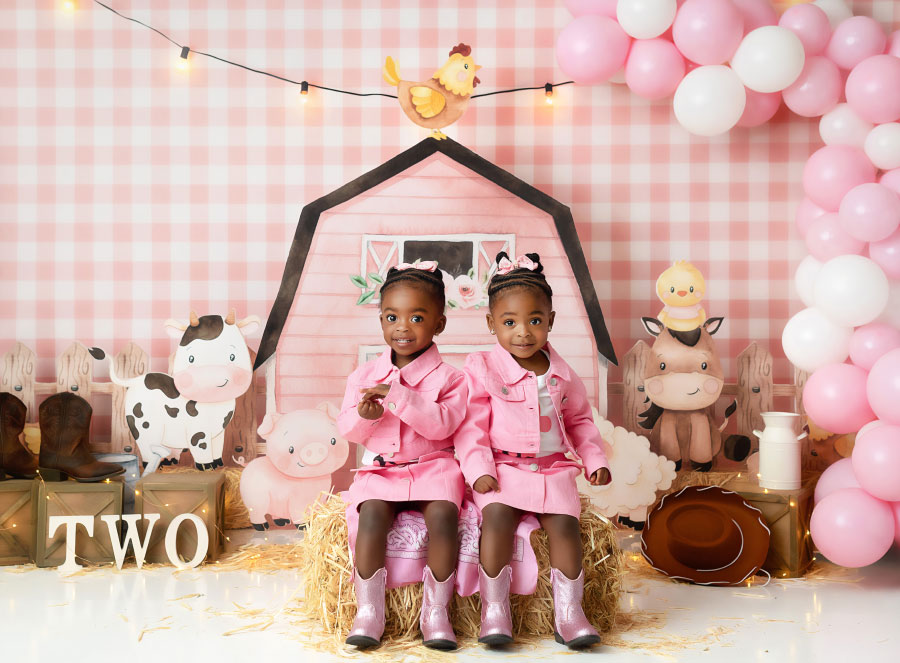 baby photographer near Villa Rica, twin girls on pink farm set