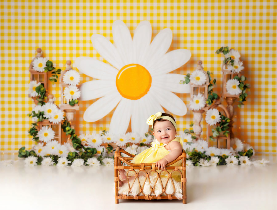 Douglasville baby photographer, six month milestone session with daisies