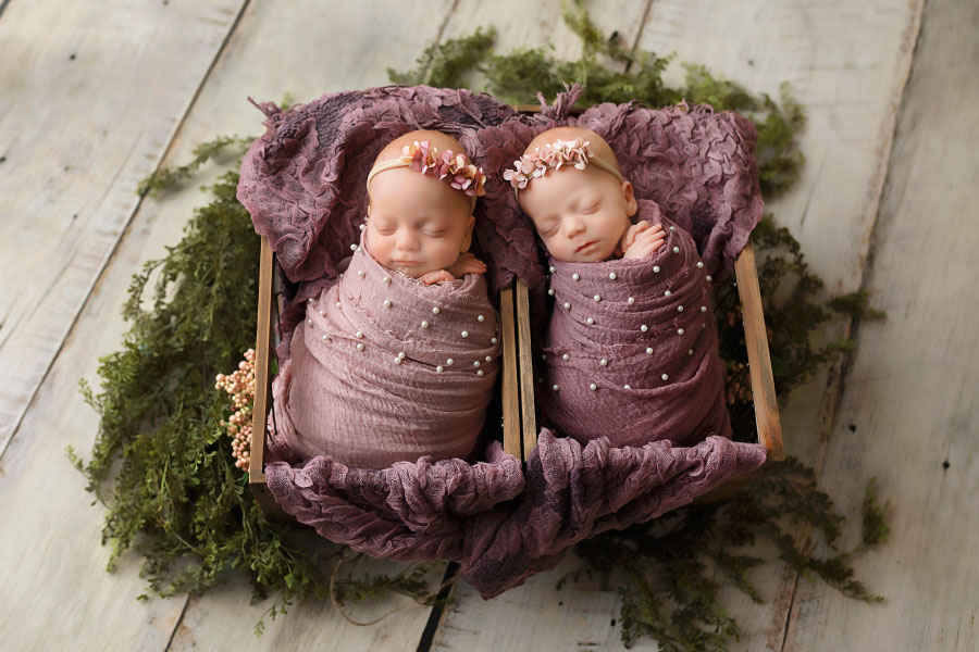newborn photographer near Carrollton, GA; twin girls in purple studio set
