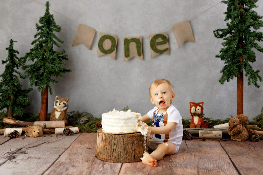 Tyrone cake smash photographer, woodlands baby first birthday theme