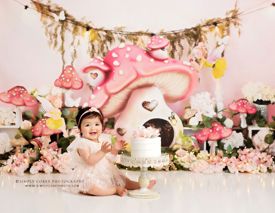 Atlanta cake smash photographer, pink fairy first birthday studio set